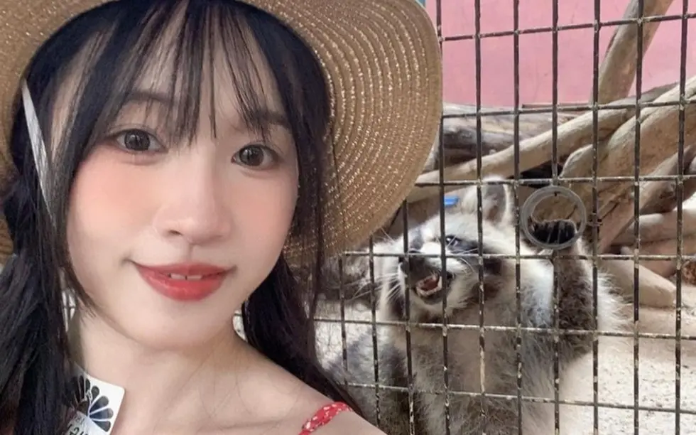 在线观看《苏畅》全集-国产女神苏畅魅力绽放，vlog视频随心看，HD高清无删减