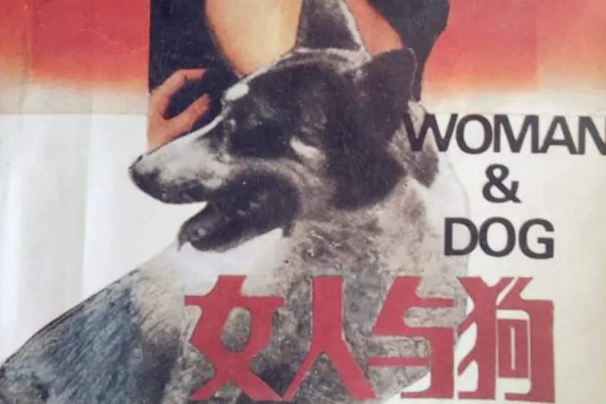 《女人与狗》全集完整版免费在线观看-欧美电影女人与狗HD 1080P蓝光高清免费在线播放