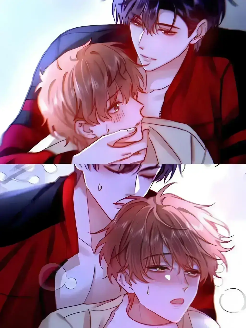 可爱过敏原番外无弹窗纯净版