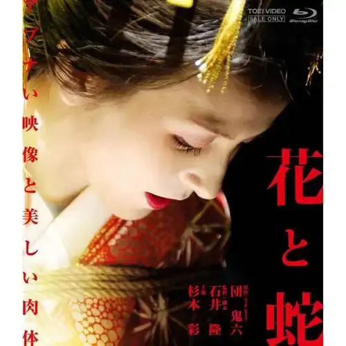 日本电影《花与蛇》全网首发无删减全集-日本剧情片《花与蛇》高清完整版在线观看-《花与蛇》夸克网盘免费下载-星辰影院