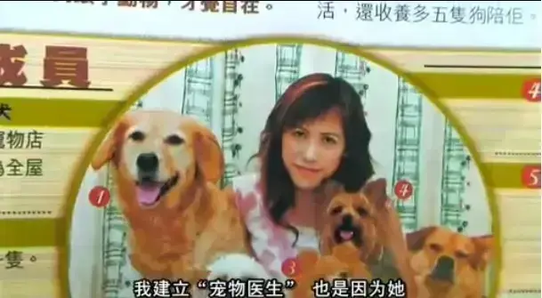 欧美电影《女人与狗》中字无删减免费观看 完整正片全集在线看
