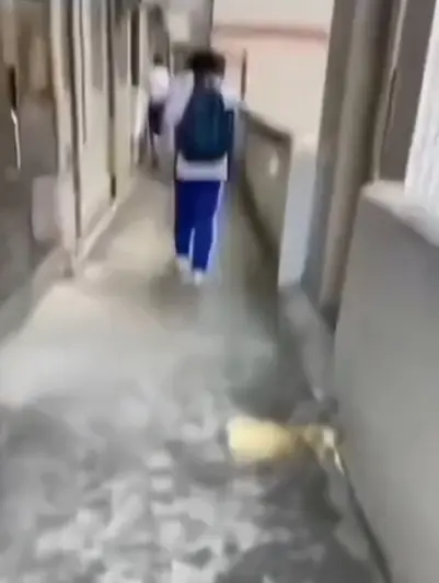 《大昌市第七中学》教室走廊现诡异身影，4K高清免费看，同步分享大昌市第七中学绝密调查档案，点击即看！