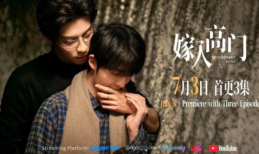 2026新剧《嫁入高门的男人》22集全季HD高清免费在线看-双男主爱情剧《嫁入高门的男人》纯净极速播放