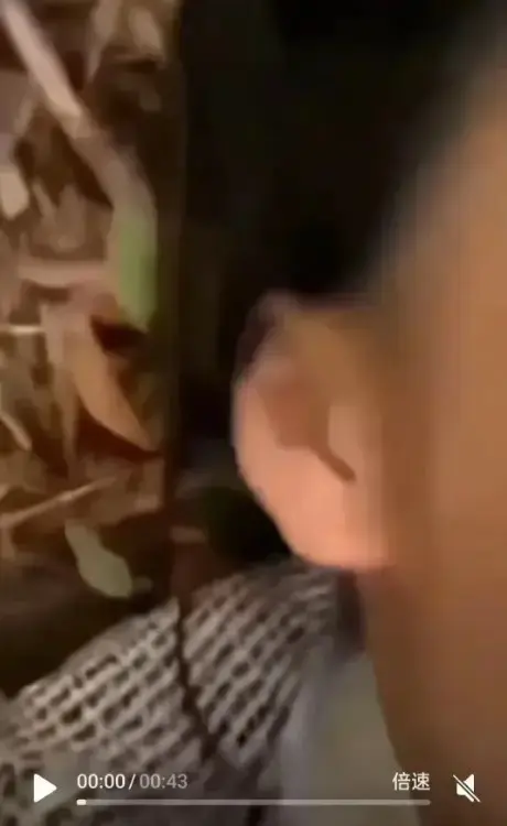 想看《女轻奢事件》？这里有轻奢二人组、双人大战精彩片段，全片无删减4K超清免费播放！